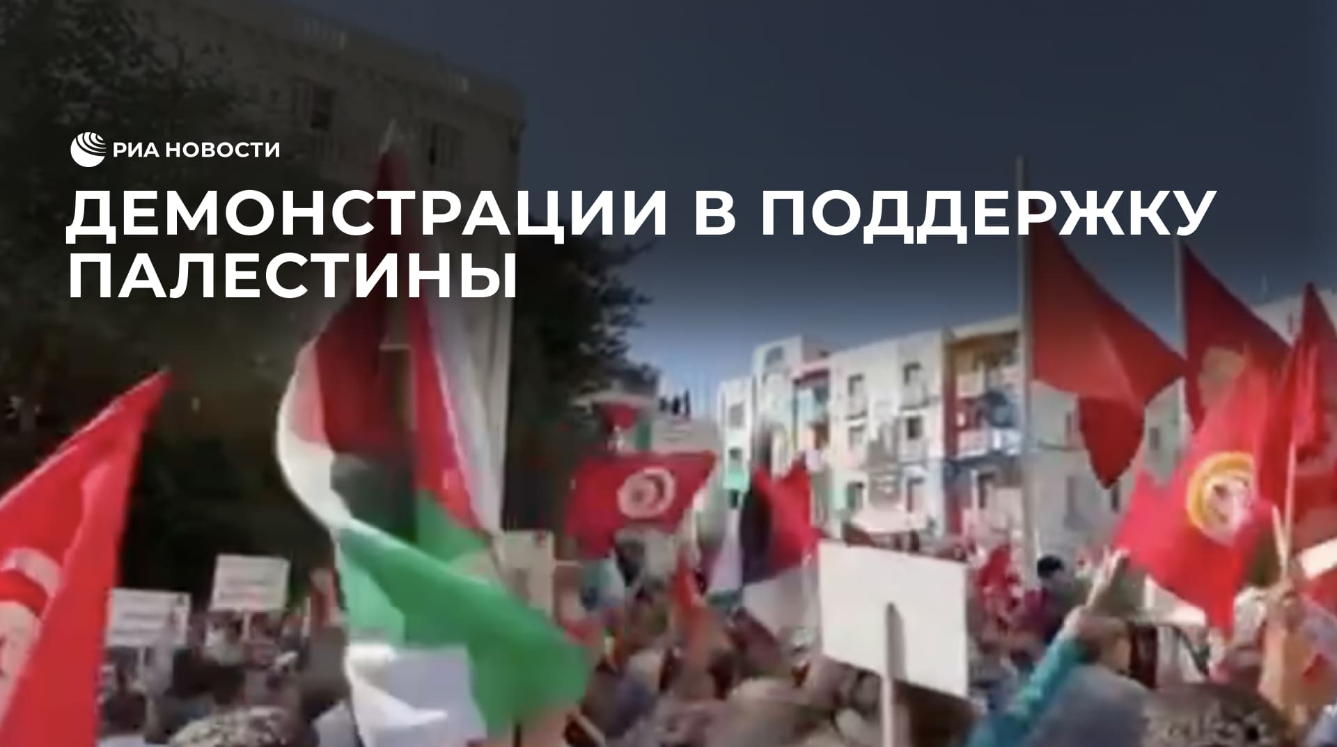 Демонстрации в поддержку Палестины