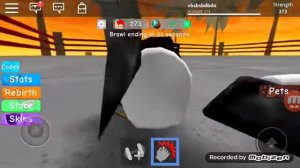 ROBLOX   качаем мышцы