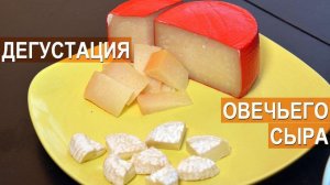 Дегустация сыров из овечьего молока. Племрепродуктор Ферма Покров