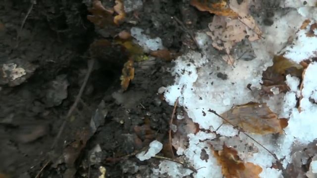 НАШЕЛ КОШЕЛЬ!!!СЕРЕБРО!!! смотреть онлайн