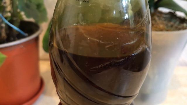 Що вирощую на підвіконні для своїх орхідей! смотреть онлайн