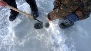 Трофейный лещ на блесну. Река Ловать