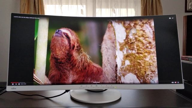 Monitor Fujitsu B34 Curbat 34 inch - Prezentare смотреть онлайн