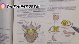 Snell Clinical Anatomy Chapter 1 Lecture 17 (Part 6)