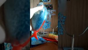 Морские бестии и ко макси 2