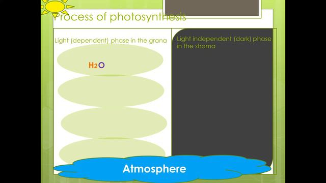 Grade 11 Photosynthesis detailed process made logical. смотреть онлайн