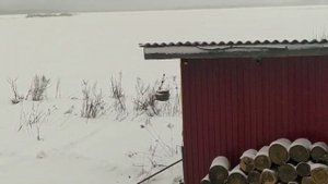 делаю мастерскую для всего