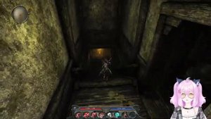 Divinity 2 Developers Cut#45 - сдаемся и ищем все Рычаги и Руны.