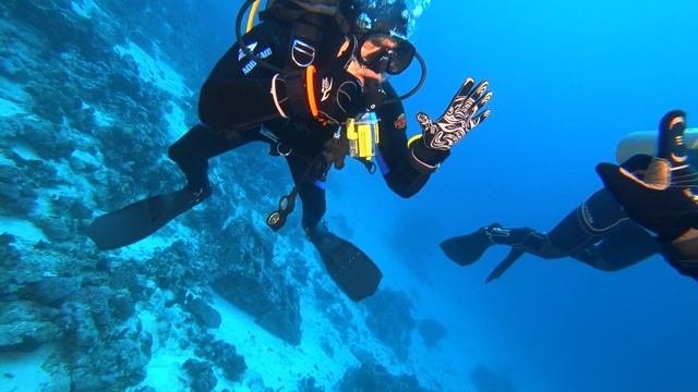 Дайвинг в Шарм-эль-Шейхе январь 2023