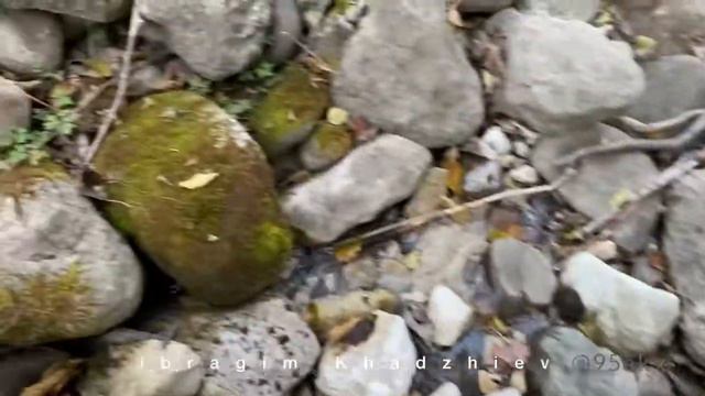 Горная река.