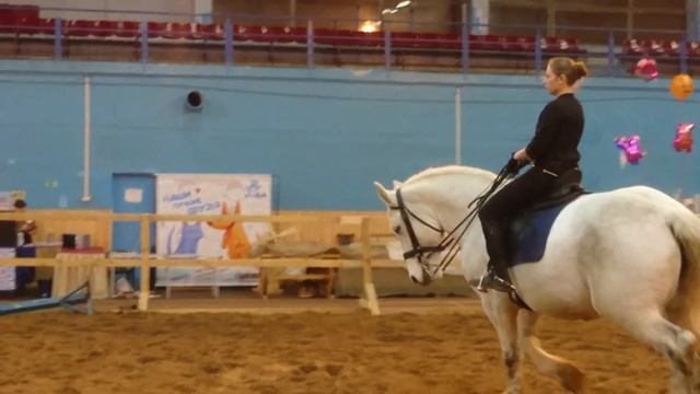 Выставка лошадей Минск 2016 смотреть онлайн