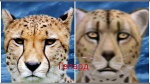 Сравнение животных в WildCraft и в реальной жизни...