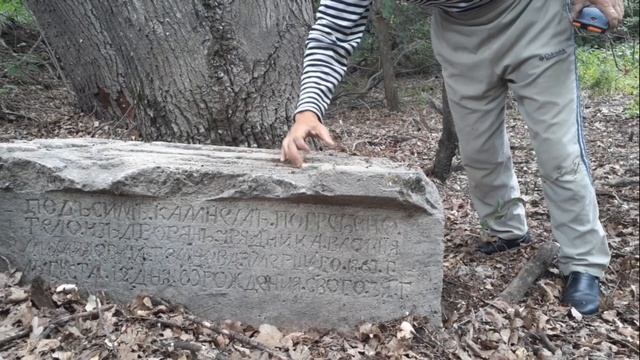 Пугачев и Гуцериев, Ермак и Чапаев.... все смешалось. смотреть онлайн