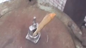 копчение гуся