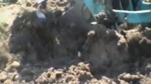 ЭлектроКрот.avi