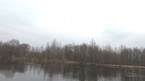 Жерех на спиннинг ранней весной 2021 / Где искать жереха на реке?