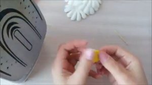 Izalondan Romashka(momaqaymoq) guli.