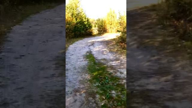 #навелосипеде1