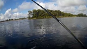 Щука на каждом забросе!!!Бия.Ловля на спиннинг.