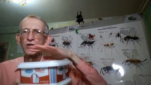 Безжальные Пчелы - Кто Они? Где Живут? Почему Не Жалят? ЧАСТЬ-2.