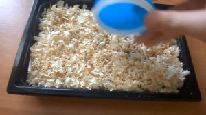 Как вырастить овёс для морских свинок!!!(попугаем и хомякам)