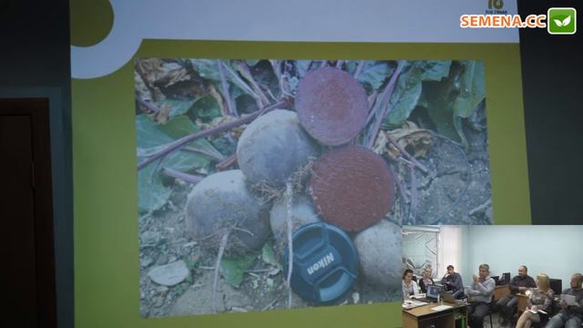 Акела F1 свекла (Rijk Zwaan) Семинар 20.09.2016 смотреть онлайн