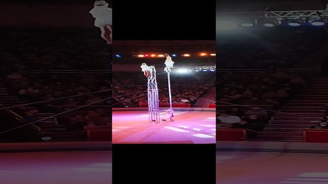 ОЧЕНЬ РИСКОВАННЫЙ ТРЮК!!!!