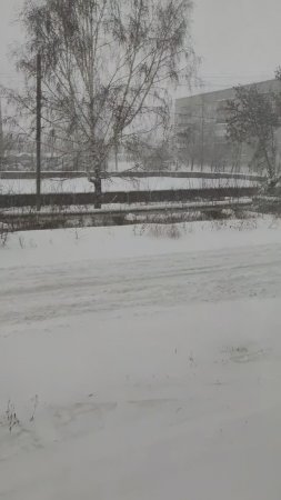 Челябинскую область завалило снегом. А снег всё идёт и идёт