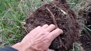 Серебро?Коп с Vanquish 540 Сигналы онлайн!