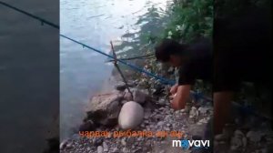 Чарвак рыбалка