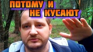 Комары не кусают, тестирую средство от комаров в лесу