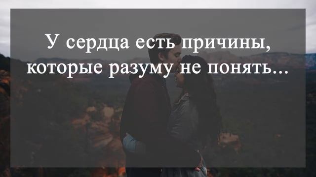 Цитаты про любовь/ Афоризмы о любви /Красиво сказано