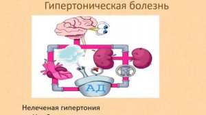 вазомакс