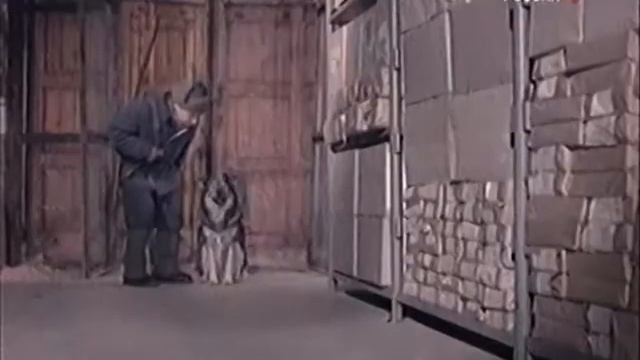 Фитиль  “Вперёдглядящий" 1966