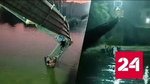 Полтысячи человек упали в воду после обрушения моста в Индии - Россия 24 