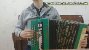 ГОМЕР УТЭ - ФИРДУС ТЯМАЕВ на гармошке