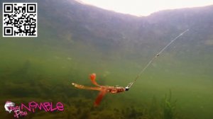 Nimble von CRAZY FISH