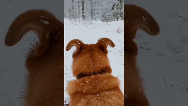 А в городе грязь и слякоть