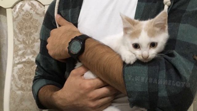 Реза ву хьан доьхьа вага NEW 2021 смотреть онлайн