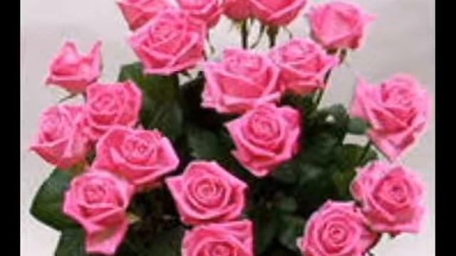 ЗАЙКА МОЯ РОДНАЯ смотреть онлайн