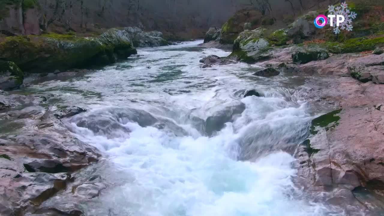 На глубине. Как уйти от поверхностного взгляда на зимний праздник?