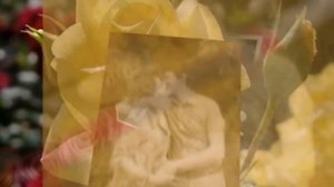 Наша песня Я хочу чтоб ты стала моею женой