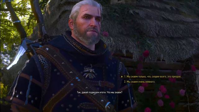 The Witcher 3 Wild Hunt - О чём говорят лошади? смотреть онлайн