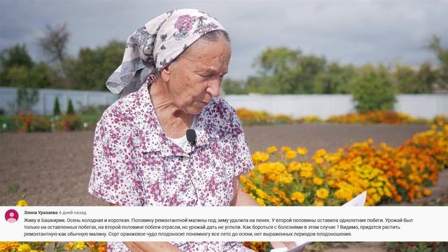 #2 ЧТО С МАЛИНОЙ??? ВИРУС ИЗРАСТАНИЯ МАЛИНЫ.
