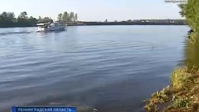 На Невском пятачке прошла масштабная реконструкция трагических событий осени 1942 года