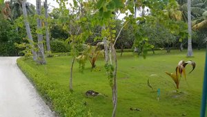 Adaaran Select Hudhuranfushi Maldives обзорная экскурсия