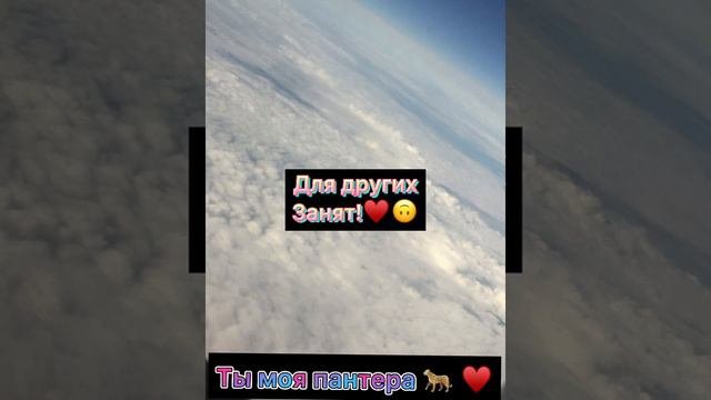 Amiryan «Амалия» ПеСнЯ с ТеКсТоМ♥️♥️♥️