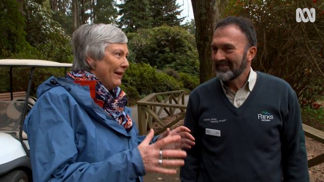 Plant Profile: Caring and Planting Magnolias смотреть онлайн