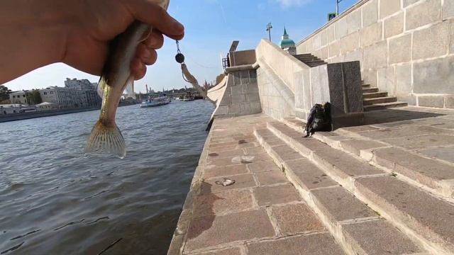 Рыбалка в центре Москвы на спиннинг