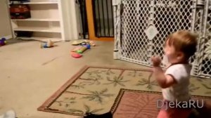 Что случится если укусить добермана?